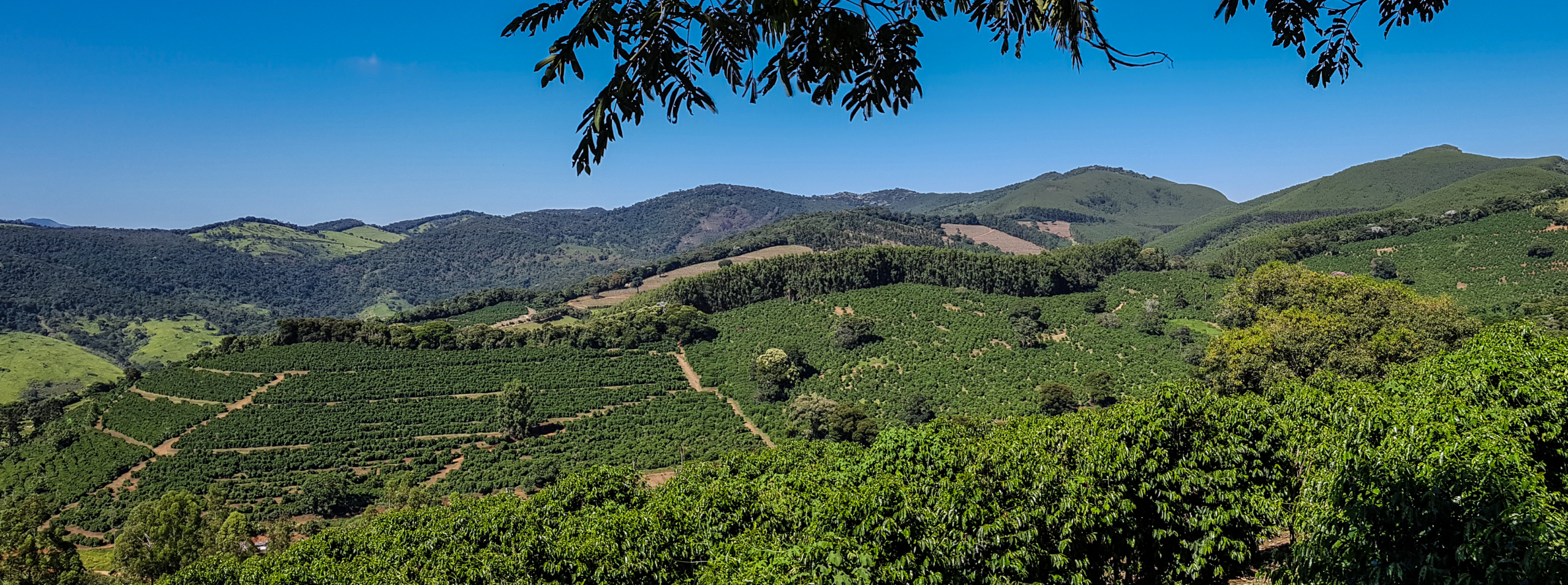 Brazil-Fazenda-Sertao-2022-59-scaled