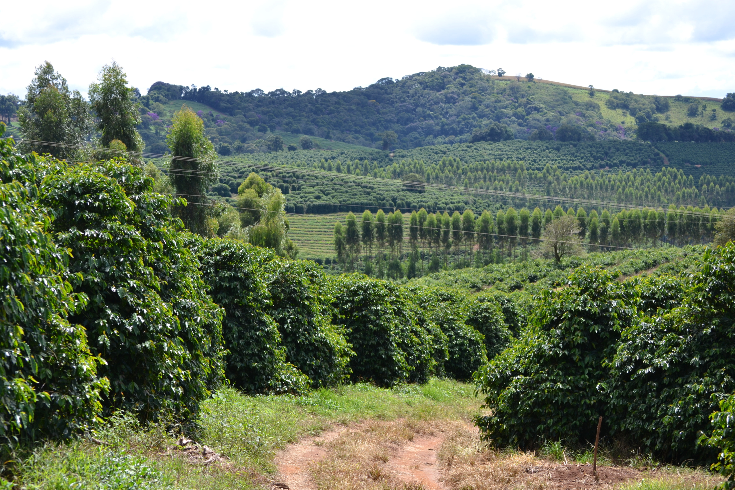 Brazil-Fazenda-Sertao-2022-67-scaled